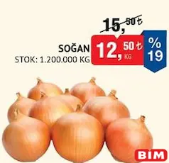 SOĞAN KG SOĞAN KG